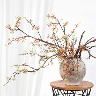 �����������ɽ�w���tɫ��֦��ʽ�������֦�Ҿ��b�֦������