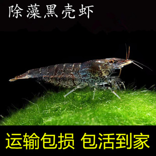 �ښ��r������坍���幤�߳����^�p���r�����r����ϵ�ˮ���쾰