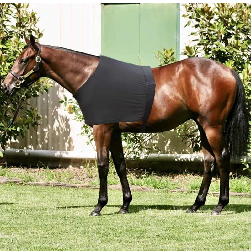 New Horse Vest, Horse Shoulder Pads, Horse Clothing, Anti-Friction Lining, Breathable Horse Chest Protection Clothing, Anti-Friction Horse Bib
