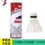 regail训练初级羽毛球