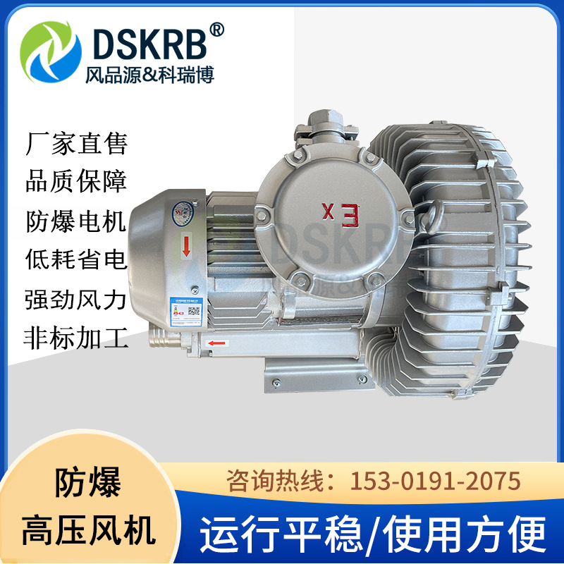 批发 油气输送防爆铝合金高压风机 低噪音BT4CT4隔爆漩涡气泵厂家