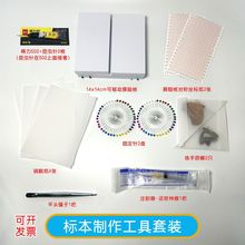 蝴蝶标本制作套装盒子标本蝴蝶diy手工展翅标本盒全套套装高密度