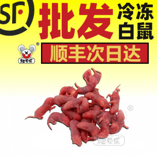 ����S�����С����Փ��һ���bι��ʳ����������ʳ������������