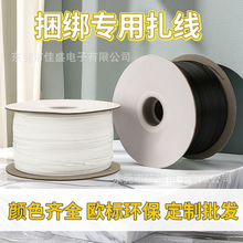 �S�����a���z�F�z�������������z�̶�늾����������� �����C����