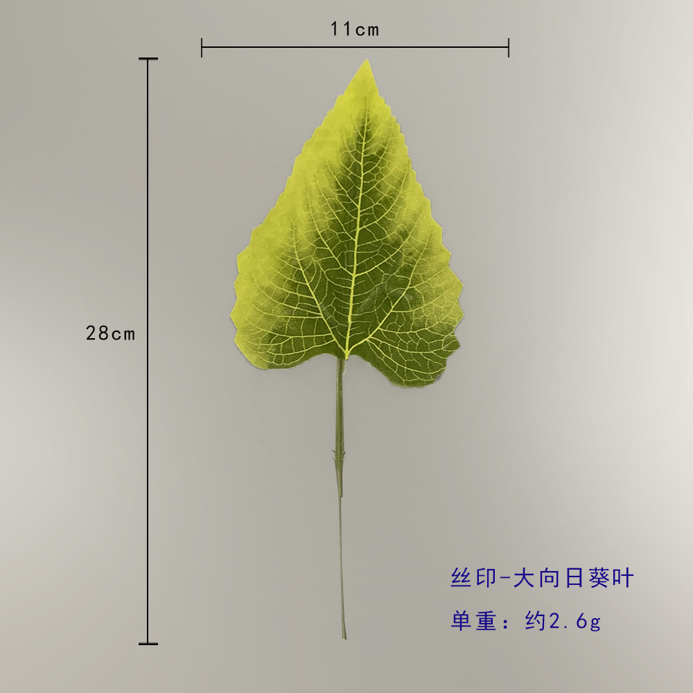 큰 해바라기 잎