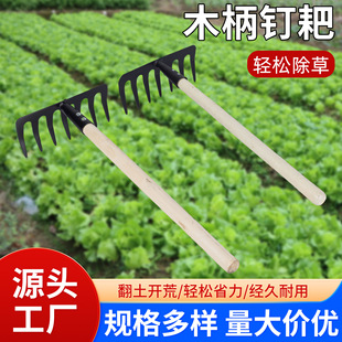 �r�ð��Ӷ๦�����X���Ӽ��÷N���_�������Lľ���������È@ˇᔰ�