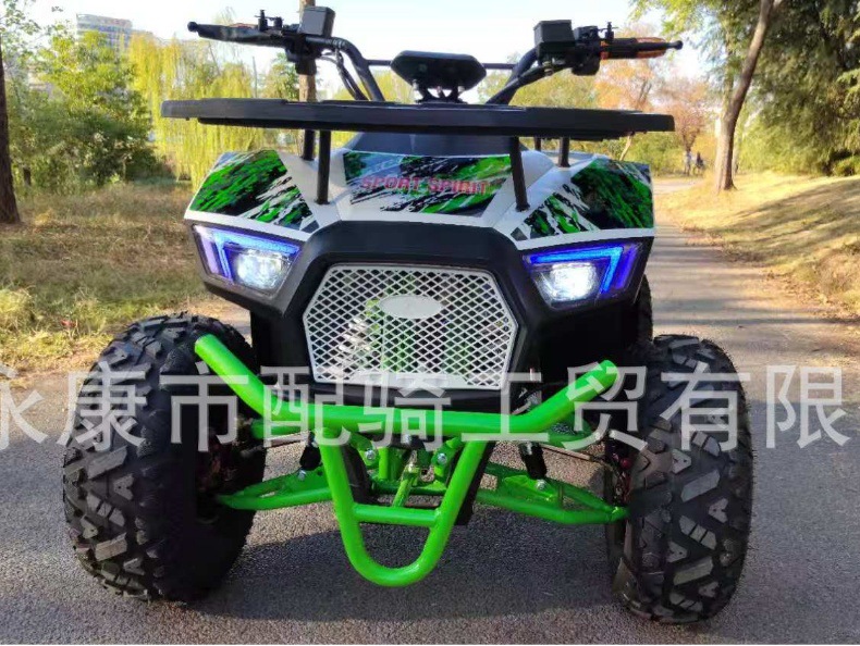 Electric Beach Car 48V500W Off-Road Beach Car All-Terrain Off-Road Motorcycle Electric Atv Small Off-Road