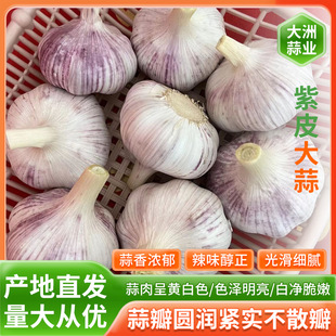 ����Ƥ���⡿�W�t�����^������Ƥ�����^�����ش����r�������l�r