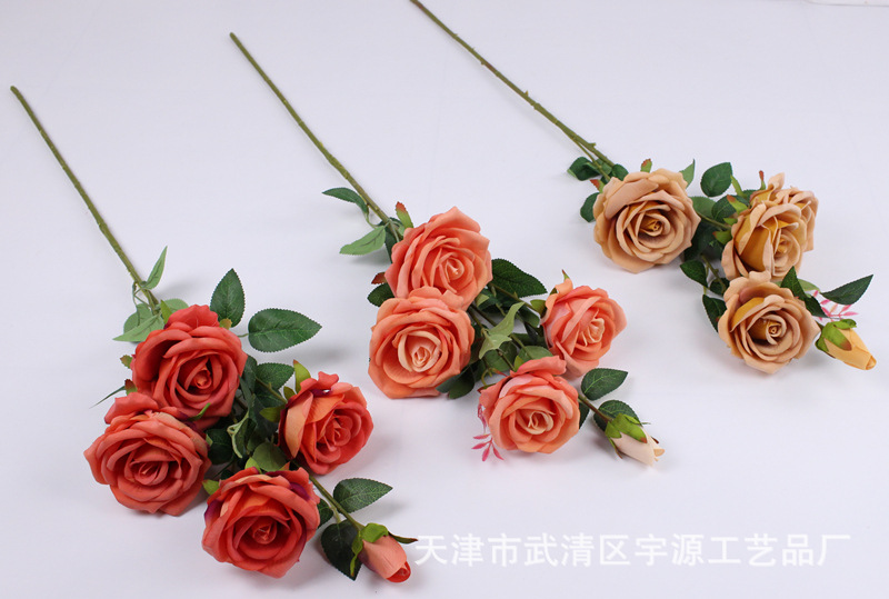 img_8084_副本.jpg