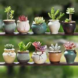 陶瓷多肉花盆创意粗陶素烧植物手绘套装拇指流釉窑变多肉小盆栽