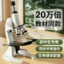 实验光学中考生物显微镜