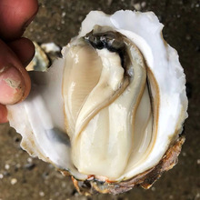 �V�|տ������r��С����Î��������[�ؔ��������l�a��һ��؛Դ
