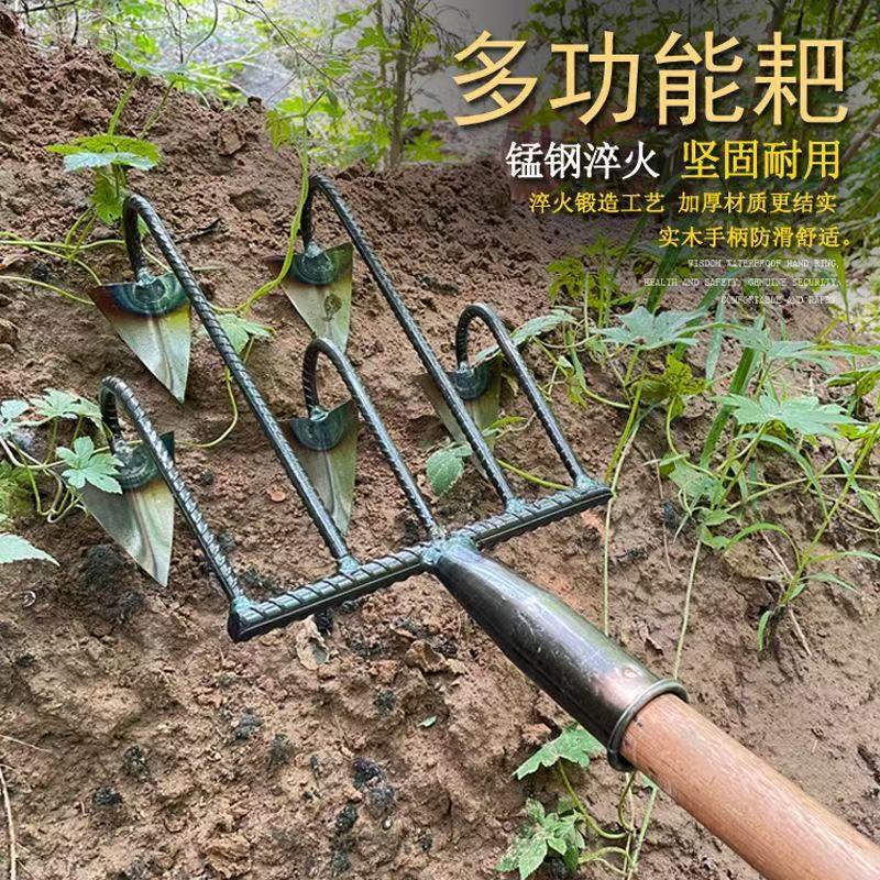 微信图片_202504231419451.jpg