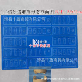 牙科1倍牙齿雕牙图纸 形态双面牙科口腔义齿吸附性技工图参照图片