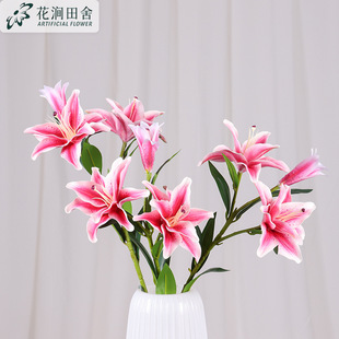 ���滨�ذ����^ؐ���ٺ��҃ȼҾӲ�߅�����ðٺϼٻ��b��^�ٺ�
