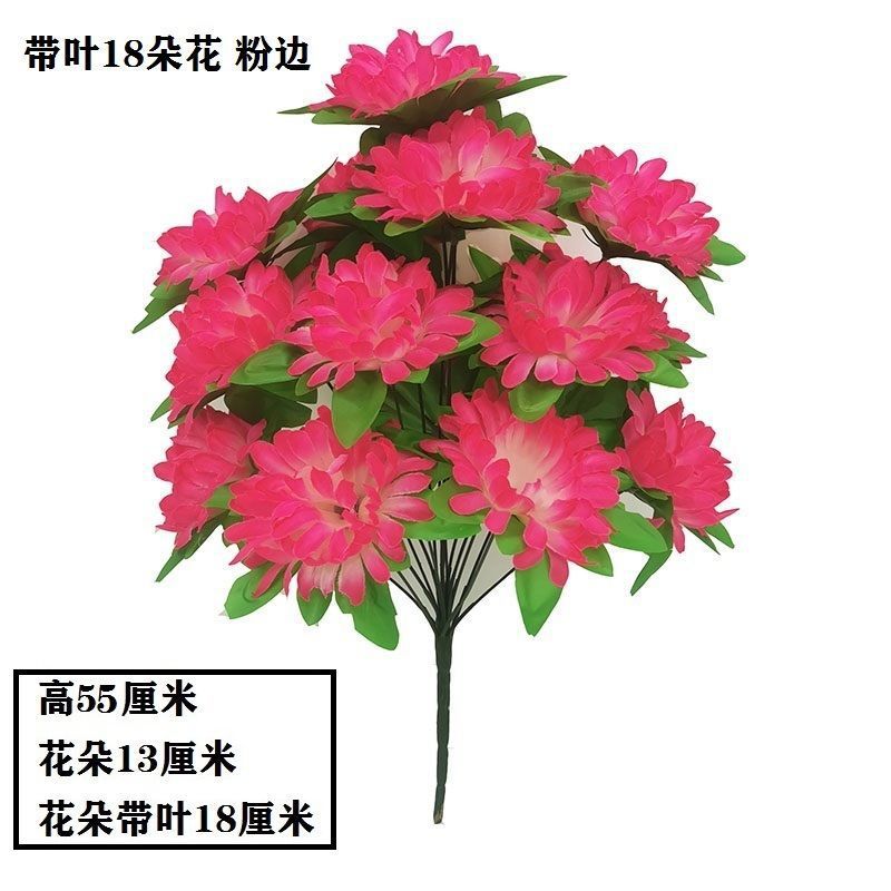 18-head chrysanthemum with leaves (pink edge) 1-1 branch (excluding flower pot), the best quality choice