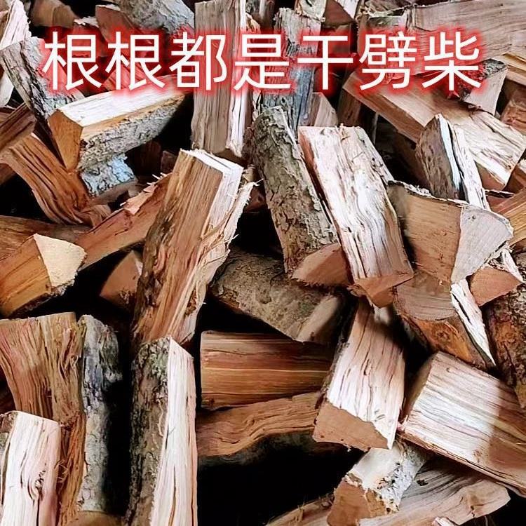 Уличный барбекю, пикник, кемпинг, костер, сухие дрова, твердые древесины, дрова, дерево зизифуса, яблочное дерево, дрова