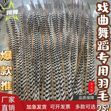 仿真地鸡毛京剧翎子戏曲俏花旦头饰孙悟空野山鸡毛羽毛舞蹈道具