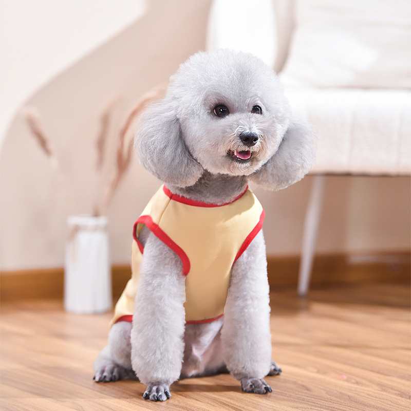 (2개) INS 스타일 애완 동물 고양이 옷 중소형 개 딸기 귀여운 조끼 가을, 겨울 뉴 코기 프렌치 불독 바닥 셔츠