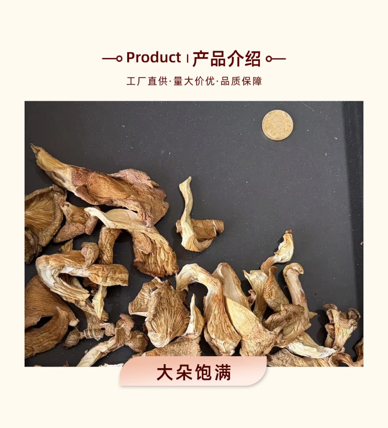 Dried Yuanmo Mushroom Whole Wild Forest Mushroom for Soup and Stew 500g quality and texture