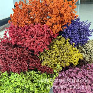 �����ؐ���r������ˮ���ݻ������˹��Y�������������ˮ���ݻ���