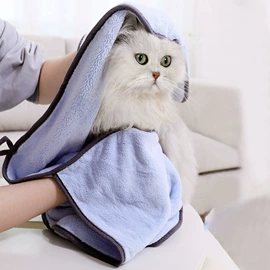 狗狗服装;狗狗玩具;猫猫窝/笼/垫