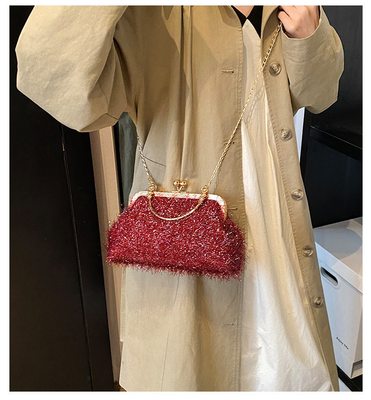 A trendy and fashionable women's 2024 autumn new chain crossbody bag, a Korean-style hand-held shell bag details Picture