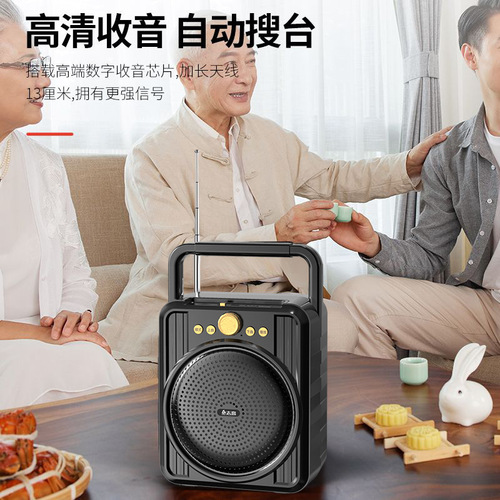 Portable multi-functional speaker with microphone, radio, and wireless Bluetooth for home use, outdoor square dancing, and more.