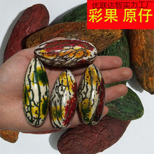 ǧӲʹԭѾGtɫʹt÷÷ְѼ