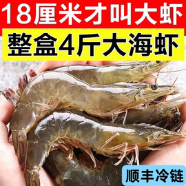 青岛大虾鲜活冷冻虾新鲜青虾对虾海虾船冻海鲜水产整箱4斤/盒