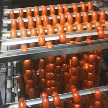 烤肠腊肠灌装灌肠机连续式亲亲肠捆线机打结机全套红肠加工生产线