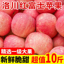 精品正宗洛川红富士苹果脆甜多汁当季新鲜水果3斤5斤10斤整箱批发