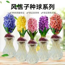 ���L���ӷN�򡿄��m�N��˰�����ĵ�������������L����ˮ�ɻ��N��