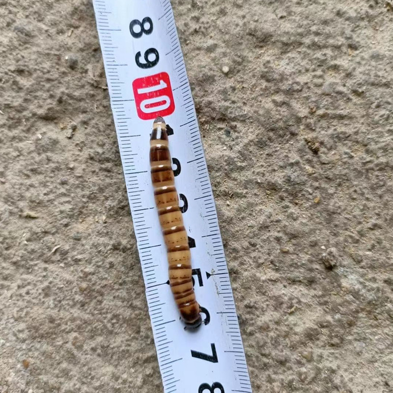 微信图片_20230504113304