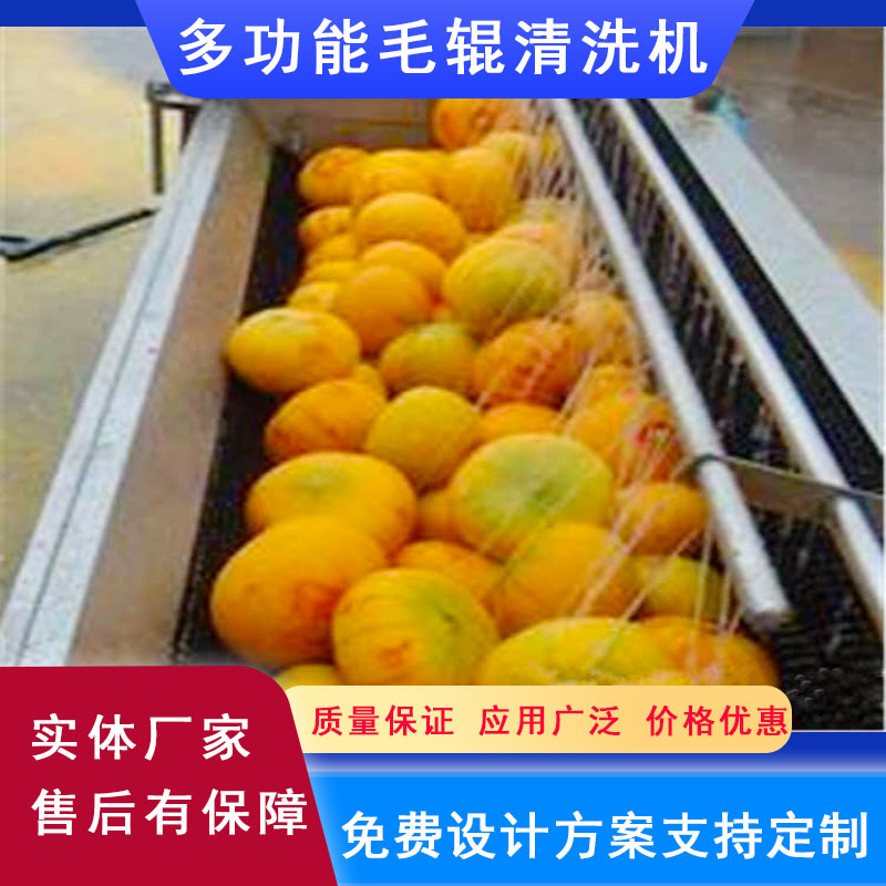 不锈钢毛刷辊芋头去皮机多功能清洗红薯机大姜魔芋土豆去皮脱皮机