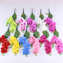 �ָ��zƬ�����m���滨2��12�^���~�ӼҾ��b[�O����ٻ���c��