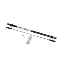 ِĬw Dionex CarboPac PA20xɫV 060142