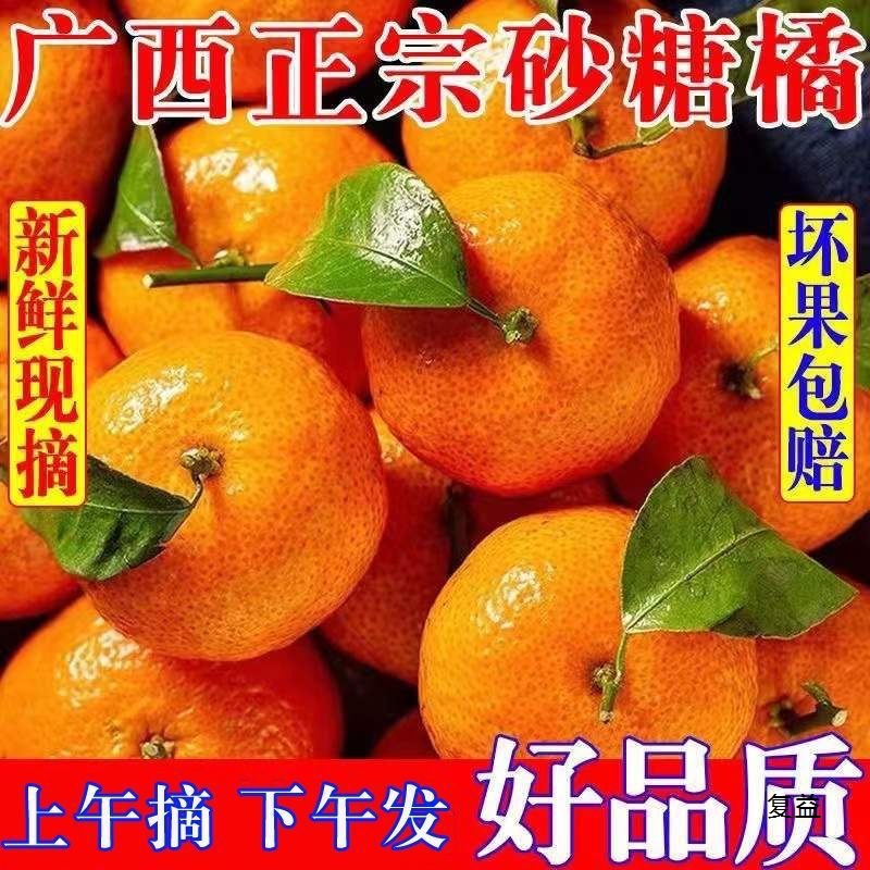 Guangxi Shatang tangerine fresh fruit small tangerine pregnant women fruit ultra-sweet mandarin seasonal honey orange