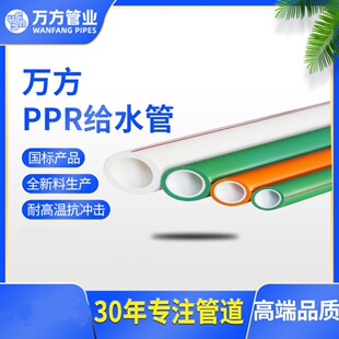 �f���ܘI  ���˽oˮPPR��    &phi;63*8.6mm 2.0Map 4��/�� WF0063