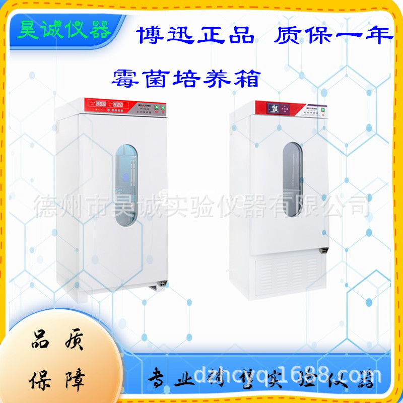 博迅霉菌培养箱 MJX-160B-Z不锈钢数显育种实验微生物培养箱