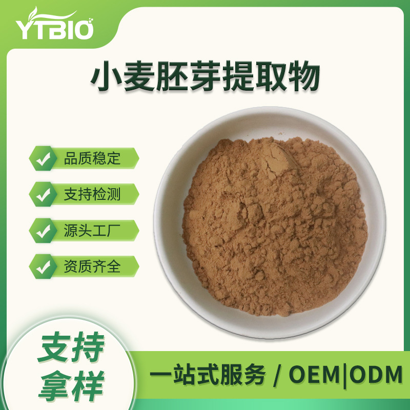 小麦胚芽提取物 水溶小麦胚芽粉 Wheat germ extract 现货寄样