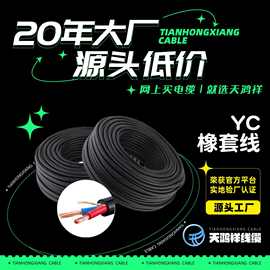 绝缘矿用工程电线 YC橡套线2*4紫铜线  工业中低压稳定电力电缆线