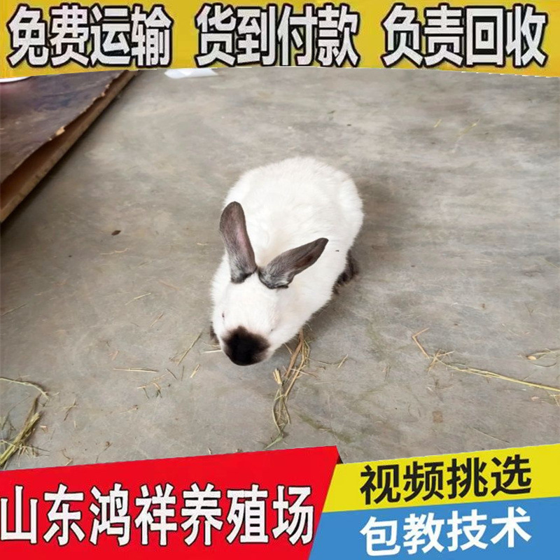 e45fd4283e384896b15b4939fa4a7a