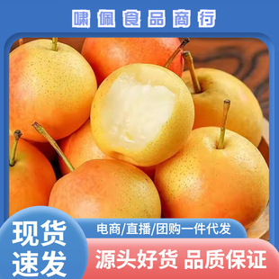 ���ڰ�ɽ�خa�Ϲ������rˮ�������|���|���χ���t��С���������l