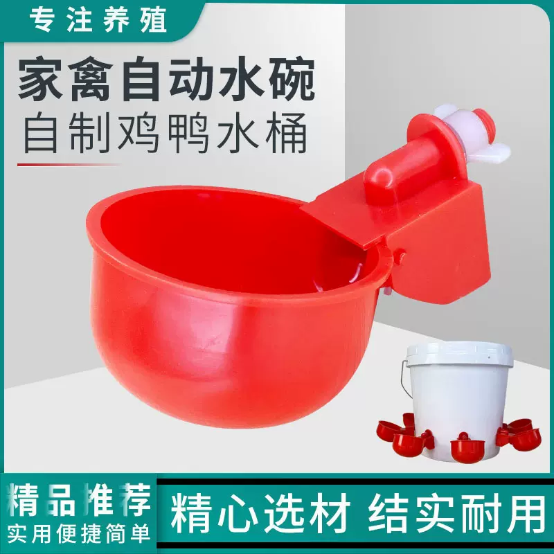 家禽自动饮水碗鸡用自动饮水器喝水碗喂水器鸡鸭鸽子鹌鹑鸟饮水器