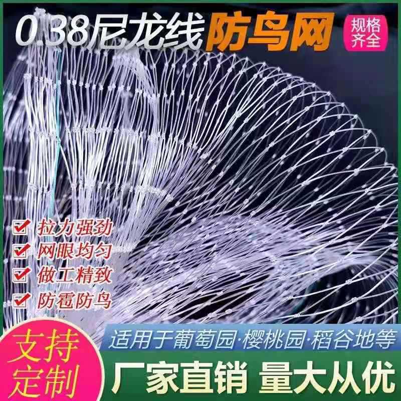 尼龙防鸟网大棚涤纶防鸟用网鱼塘天网葡萄樱桃网防猫网片防鸟神器