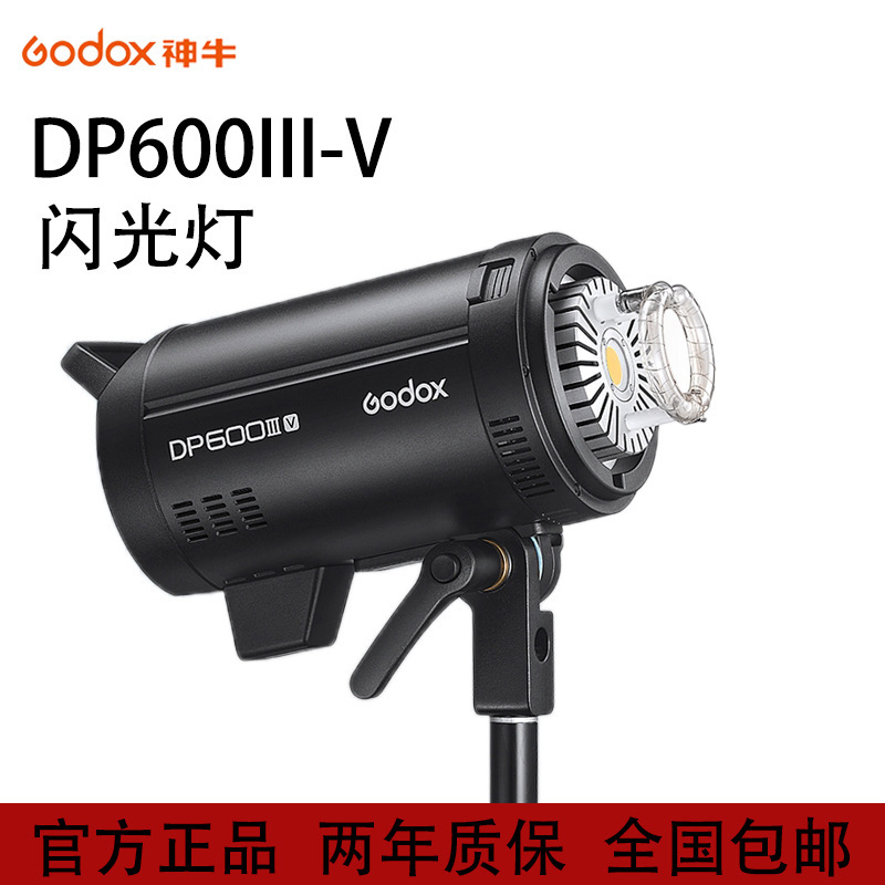 Shenniu DP600III-V four-generation studio flash lamp 600W photography lamp indoor large studio lamp home portrait