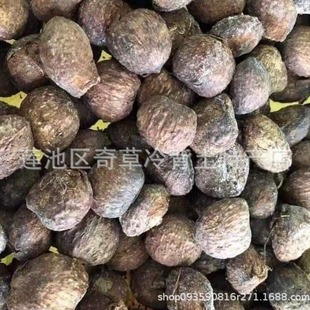 ��ͩ��,��ș����ͩ�Ӟ��꪿�ֲ����ͩ�ķN��