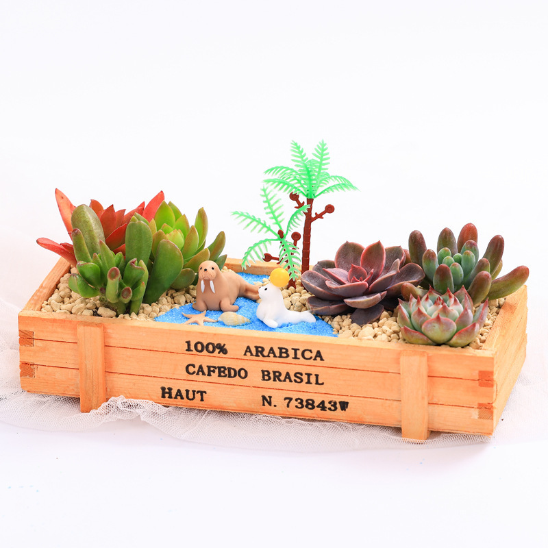 Wenpai クリエイティブ多肉植物組み合わせ鉢植えパッケージマイクロランドスケープ素材パッケージ植樹の日子供の日手作り|undefined