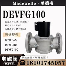 ôfMadewelle ȼ늴yDEVFG100_]ԭbȼGt